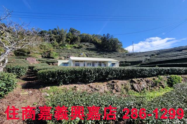 嘉義梅山建地-4