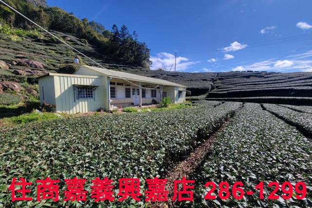 嘉義梅山建地-5