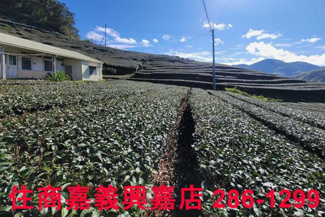 嘉義梅山建地-8
