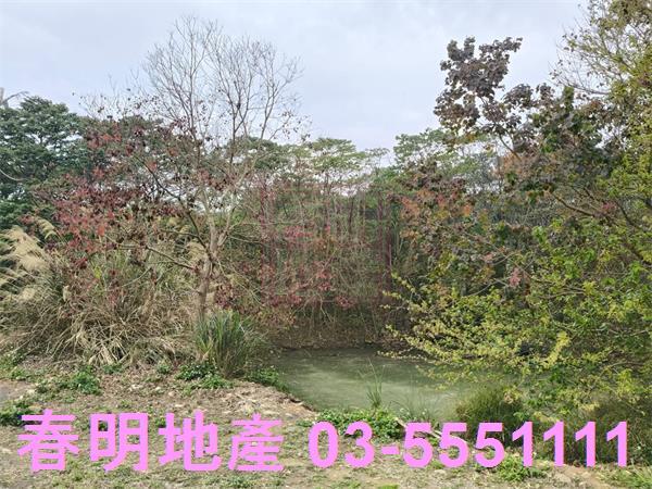 新竹建地-2