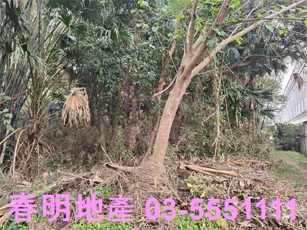 新竹建地-4