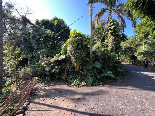 南投名間建地-4