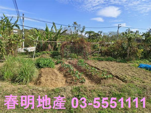寶山建地-12