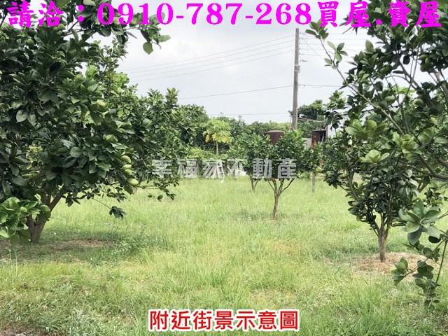 麻豆建地-10