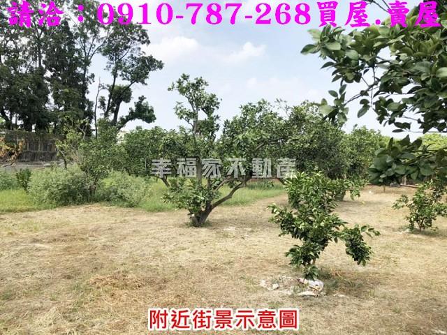 麻豆建地-5
