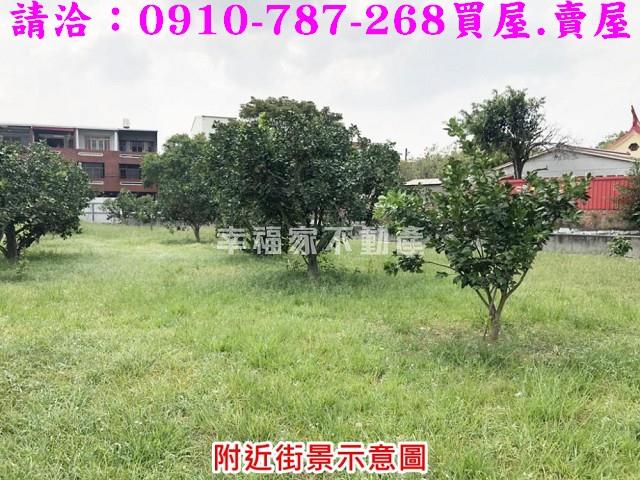 麻豆建地-6