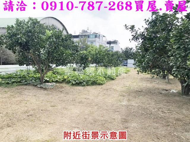 麻豆建地-7