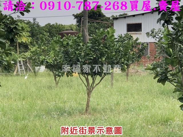 麻豆建地-8