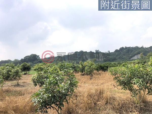 左鎮建地-1