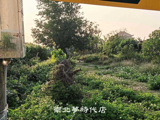 台南佳里建地-0
