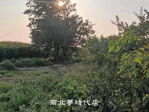 台南佳里建地-5