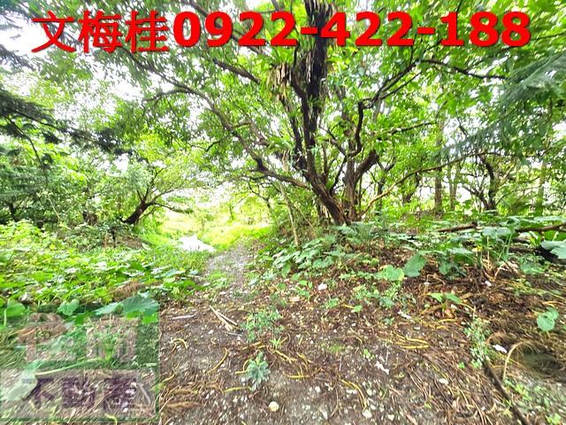 宜蘭頭城建地-2