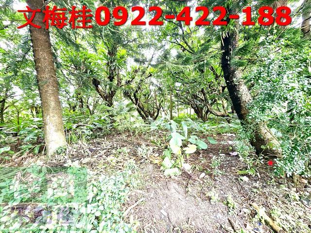 宜蘭頭城建地-3