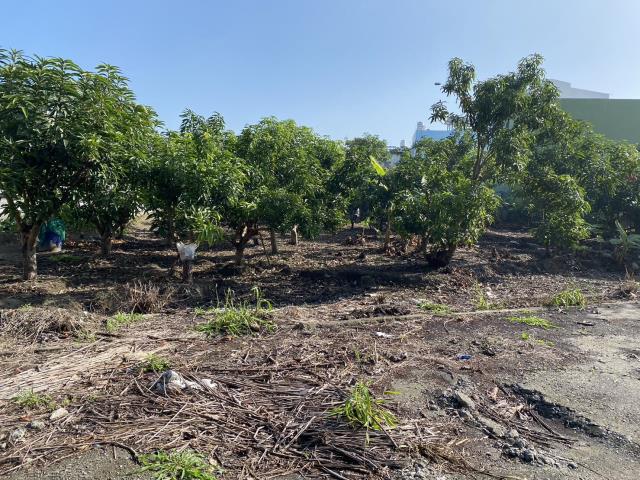 高雄阿蓮建地-0
