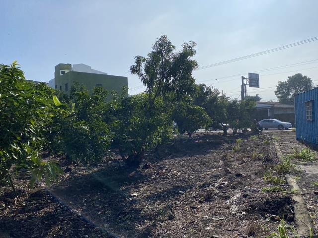 高雄阿蓮建地-2