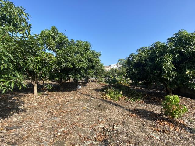 高雄阿蓮建地-5