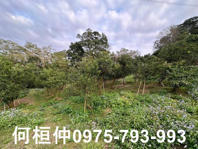 苗栗建地-10