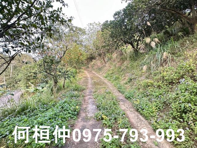苗栗建地-3