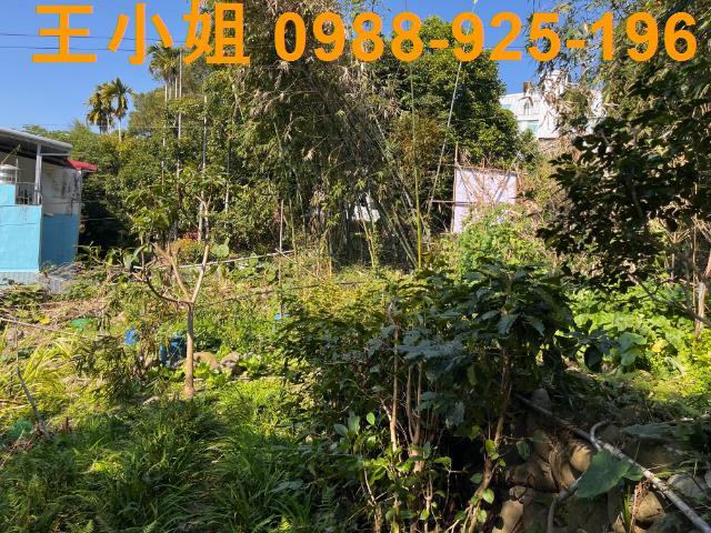 桃園大溪建地-1