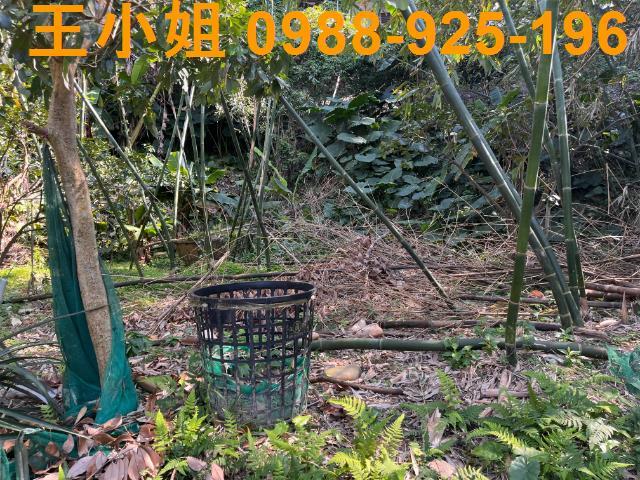 桃園大溪建地-2