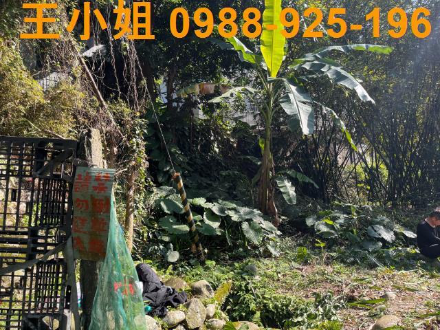 桃園大溪建地-3