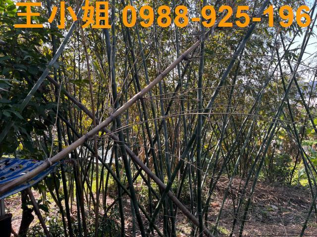 桃園大溪建地-4