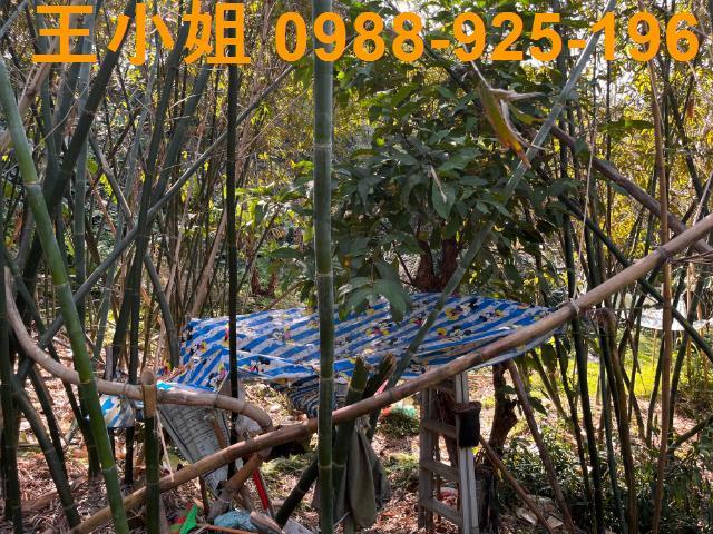 桃園大溪建地-5