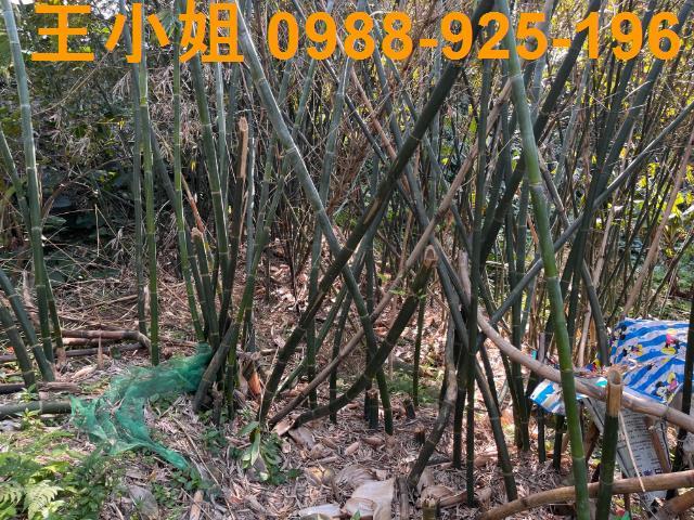 桃園大溪建地-6