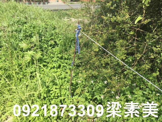 柳營建地-0