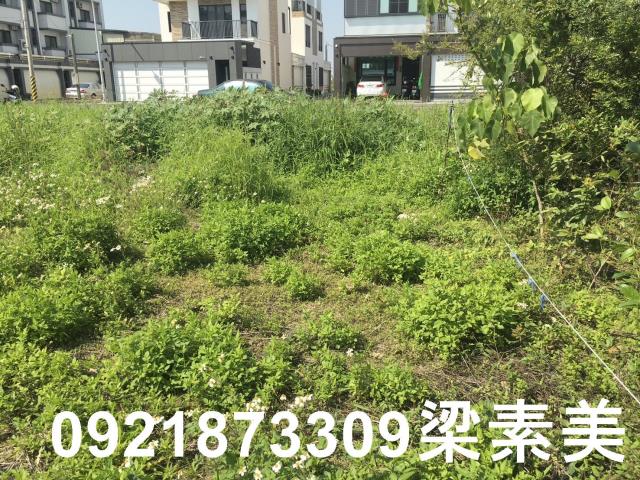 柳營建地-1
