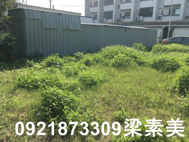 柳營建地-2