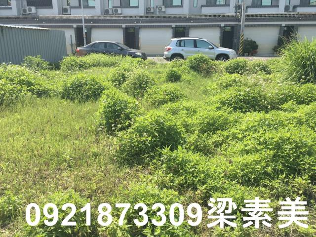 柳營建地-3
