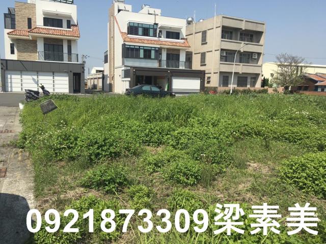 柳營建地-6