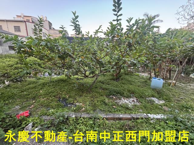 台南永康建地-5