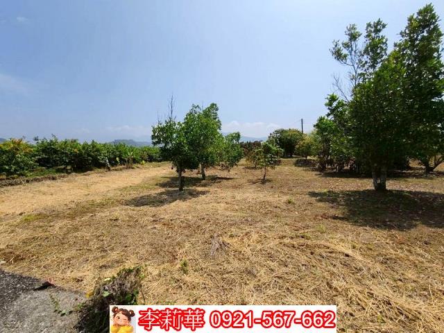 台南楠西建地-5