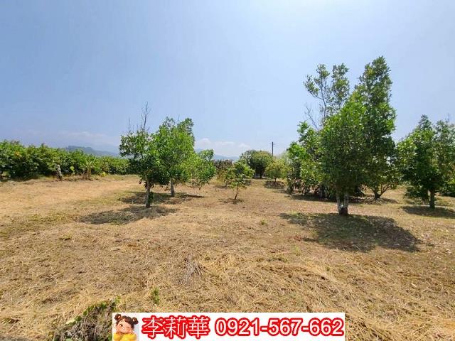 台南楠西建地-6