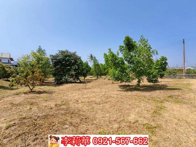 台南楠西建地-7