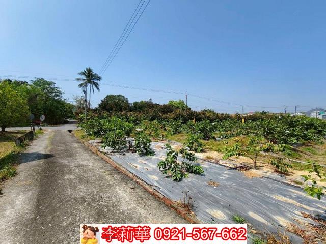 台南楠西建地-8