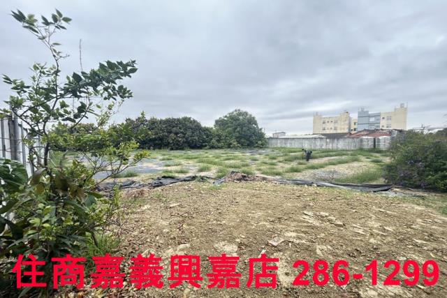 民雄建地-6