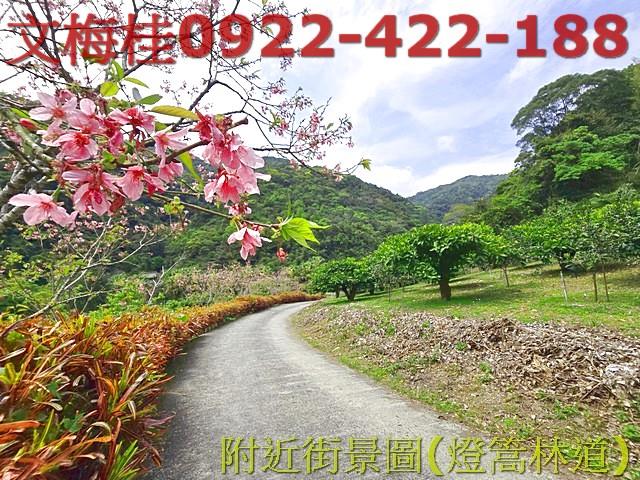 員山建地-5
