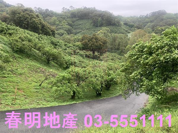 新竹峨眉建地-3
