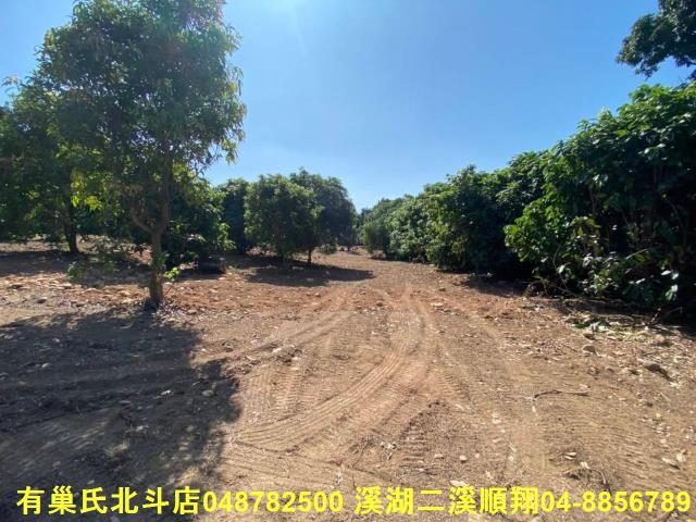 彰化社頭建地-0
