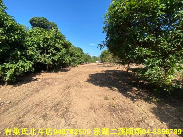 彰化社頭建地-3