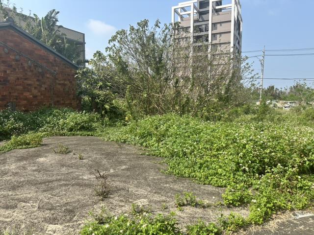 大園建地-4