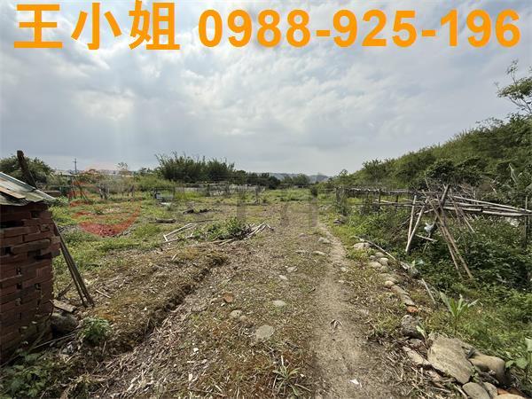 大溪建地-1