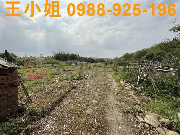 大溪建地-2