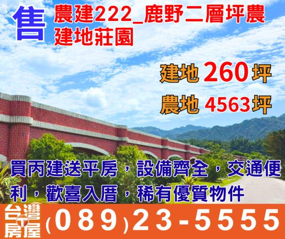 台東鹿野建地-0