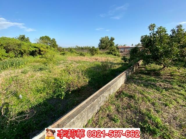 官田建地-6
