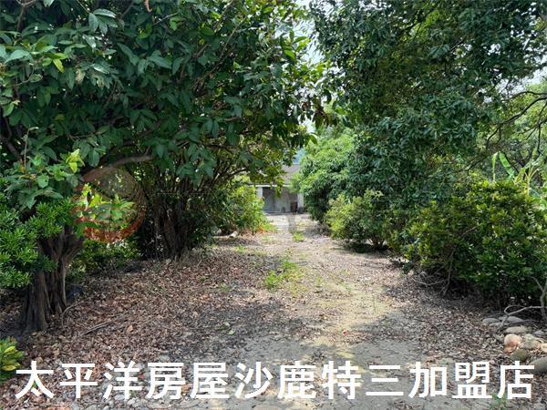 清水建地-2