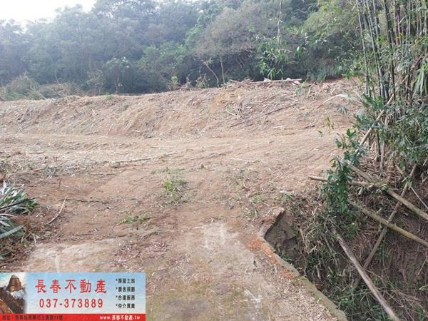 苗栗西湖建地-5